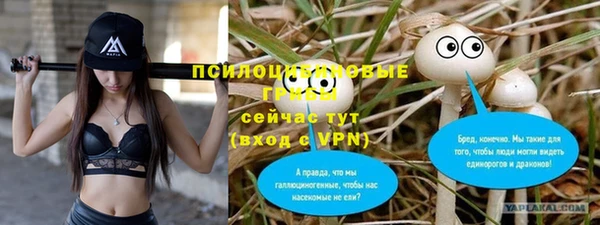 соль ск Алзамай