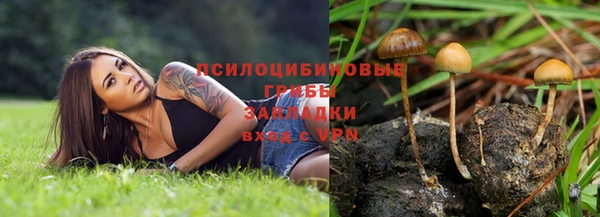ALPHA PVP Абдулино