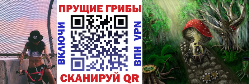 Галлюциногенные грибы Cubensis  Ливны 